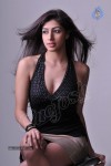 Nandini Hot Photo Gallery - 44 of 59