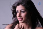 Nandini Hot Photo Gallery - 27 of 59