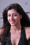 Nandini Hot Photo Gallery - 29 of 59