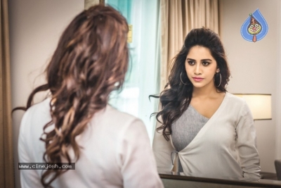 Nannu Dochukunduvate Heroine Nabha Natesh Photos - 7 of 10