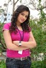 Navneet Kaur Spicy Gallery - 48 of 77