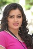 Navneet Kaur Spicy Gallery - 51 of 77