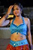 Navneet Kaur Spicy Gallery - 54 of 77