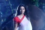 Nayanthara Hot Photos - 26 of 66