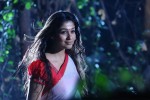 Nayanthara Hot Photos - 36 of 66