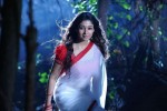 Nayanthara Hot Photos - 56 of 66