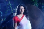 Nayanthara Hot Photos - 61 of 66