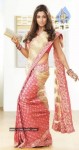 Nayanthara New Photos In Saree - 4 of 16