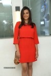 Nazia Hussain New Photos - 49 of 50