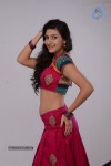 Neelam Upadhyay New Hot Pics - 35 of 84