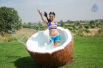 Neelam Upadhyay New Hot Stills - 4 of 105
