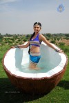 Neelam Upadhyay New Hot Stills - 6 of 105
