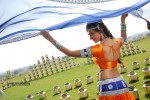 Neelam Upadhyay New Hot Stills - 11 of 105