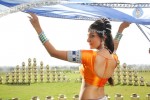 Neelam Upadhyay New Hot Stills - 75 of 105