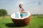 Neelam Upadhyay New Hot Stills - 81 of 105