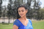 Neelam Upadhyay New Images - 15 of 39