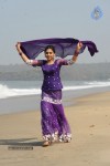 Neethi Taylor New Stills - 17 of 47