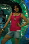 Neha Sharma Gallery - 24 of 60