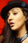 Neha Sharma Gallery - 38 of 60