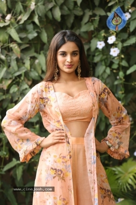 Nidhhi Agerwal Photos - 21 of 31