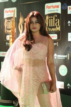 Nidhi at IIFA Utsavam 2017 - 12 of 33