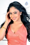 Nikesha Patel Hot Photos - 7 of 25