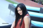 Nikesha Patel Latest Gallery - 4 of 125