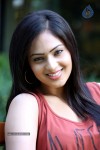 Nikesha Patel Latest Gallery - 59 of 125