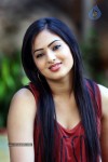 Nikesha Patel Latest Gallery - 69 of 125