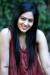 Nikesha Patel Latest Gallery - 81 of 125