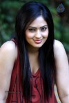 Nikesha Patel Latest Gallery - 94 of 125