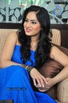 Nikesha Patel Latest Stills - 28 of 54