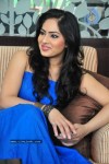 Nikesha Patel Latest Stills - 28 of 54