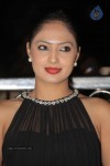 Nikesha Patel New Photos - 6 of 32