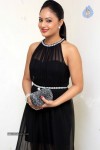 Nikesha Patel New Photos - 13 of 32