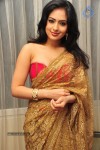 Nikesha Patel New Stills - 137 of 132