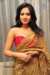 Nikesha Patel New Stills - 109 of 132