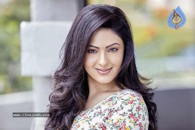 Nikesha Patel Photos - 15 of 21
