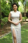 Nikesha Patel Photos - 6 of 30