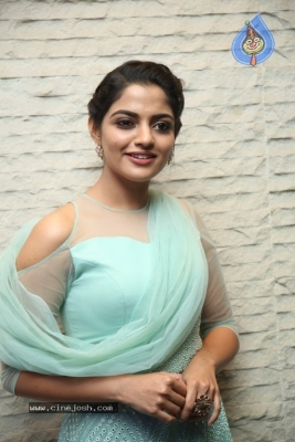 Nikhila Vimal Latest Stills - 3 of 20