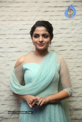 Nikhila Vimal Latest Stills - 12 of 20