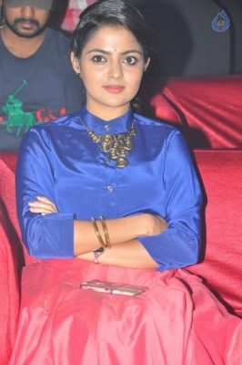 Nikhila Vimal New Photos - 6 of 15