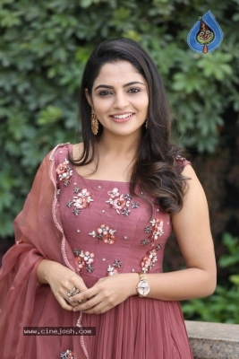 Nikhila Vimal Photos - 13 of 19