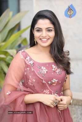 Nikhila Vimal Photos - 14 of 19