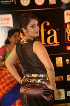 Nikitha at IIFA Utsavam 2016 - 13 of 42