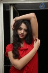 Nikitha Narayan New Images  - 96 of 102