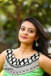 Nikitha Narayan Photos - 3 of 44