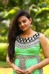Nikitha Narayan Photos - 6 of 44