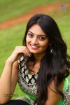 Nikitha Narayan Photos - 21 of 44