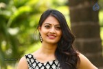 Nikitha Narayan Photos - 44 of 44